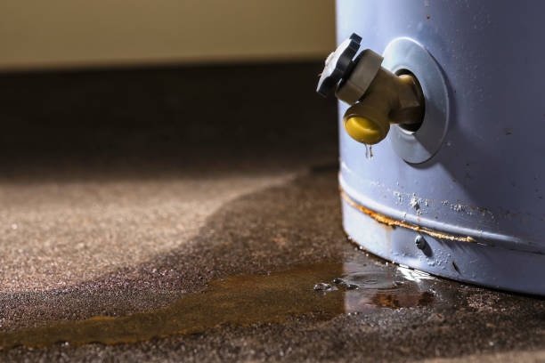 Best 24/7 water damage repair  in Dudley, NC