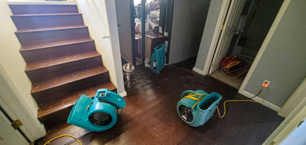 Best 24-hour water damage restoration  in Dudley, NC