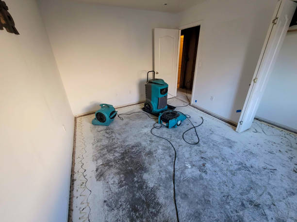 Best Sewage cleanup and water damage restoration  in Dudley, NC