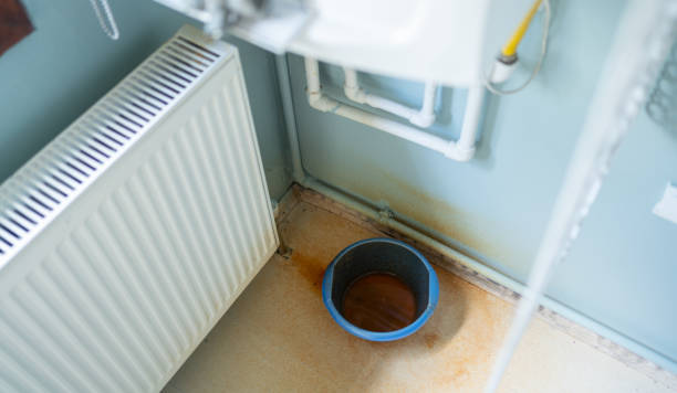 Best Basement water damage restoration  in Dudley, NC