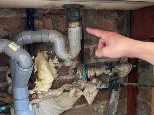 Best Water damage restoration near me  in Dudley, NC